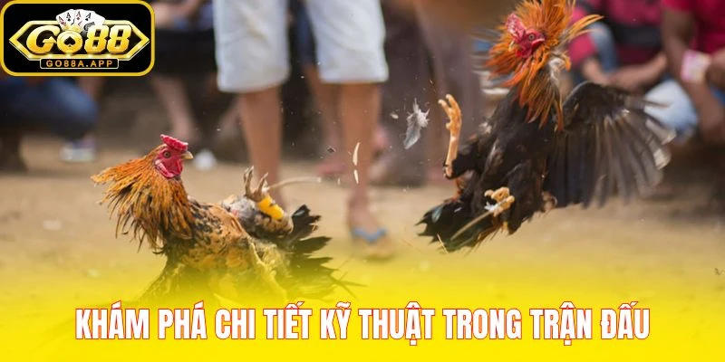 Khám phá chi tiết kỹ thuật trong trận đấu